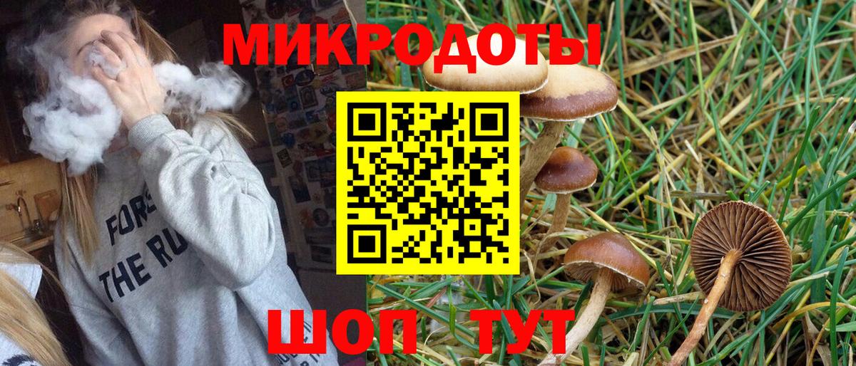Острогожск  Псилоцибиновые грибы Psilocybine cubensis  Вход с VPN 